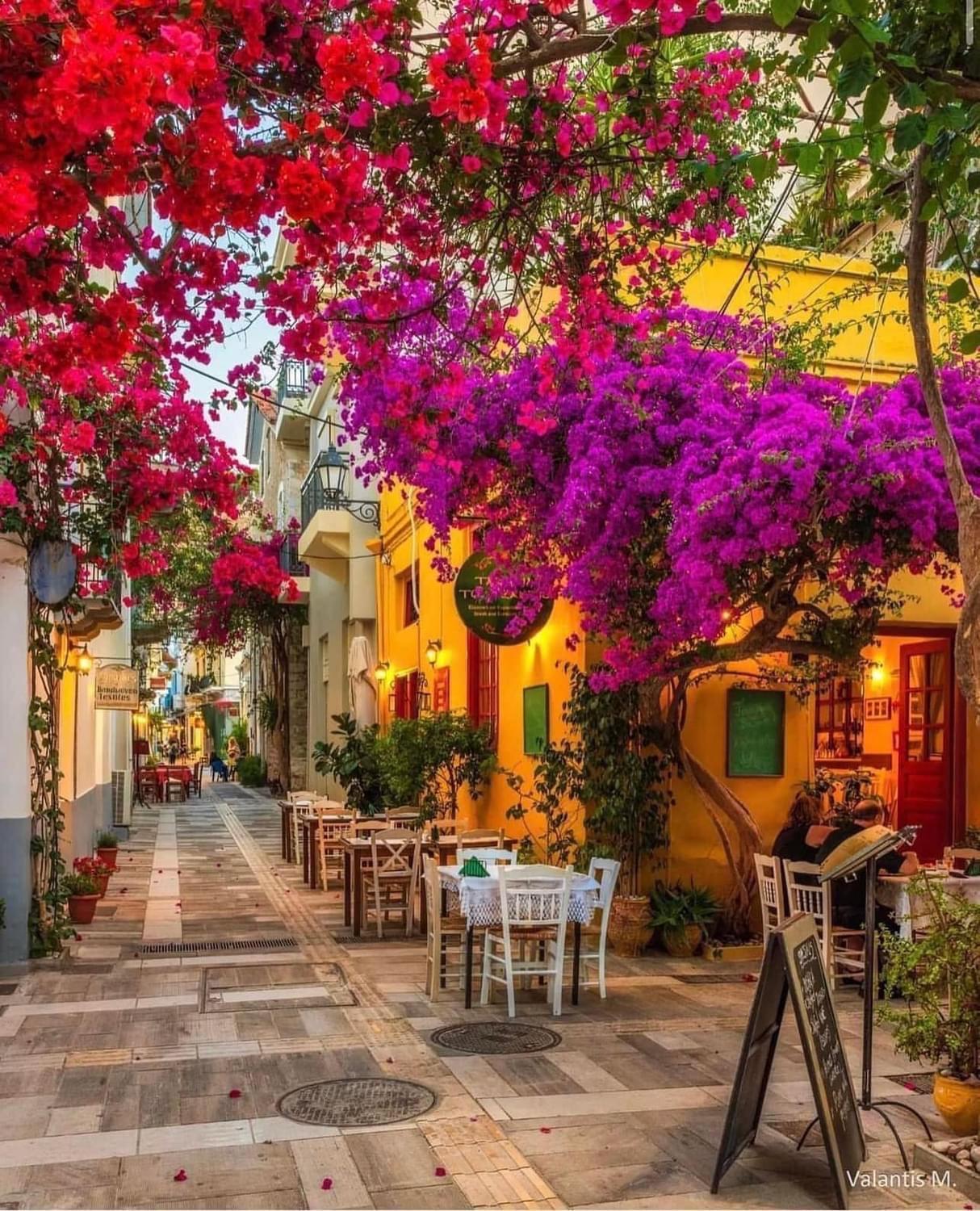 NafplionVillaArtemis Tolón Dış mekan fotoğraf