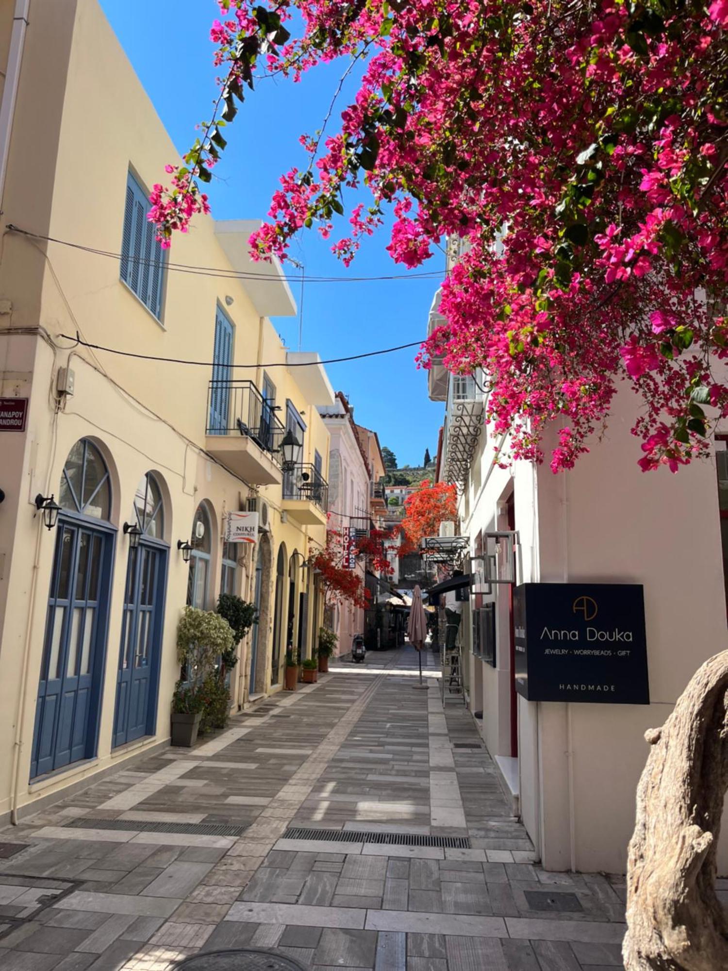 NafplionVillaArtemis Tolón Dış mekan fotoğraf